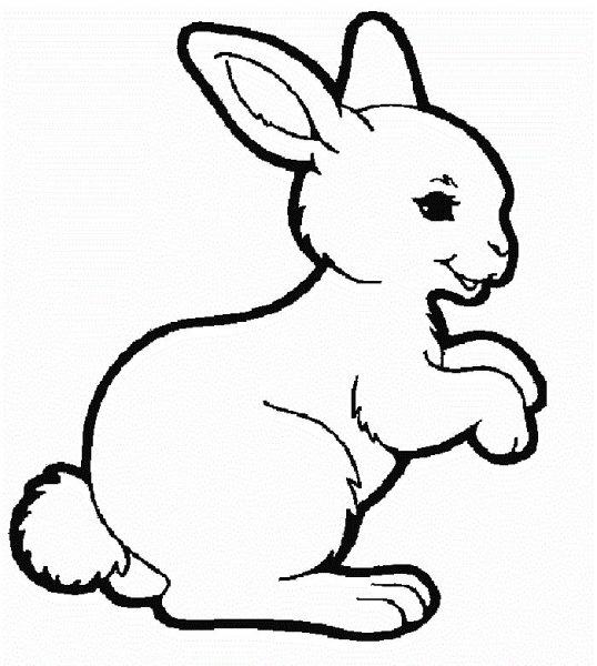 Vẽ một con thỏ