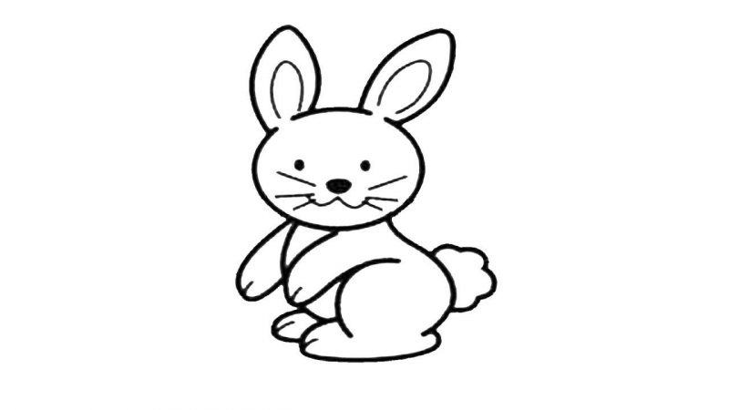Một trang nhỏ của một con thỏ