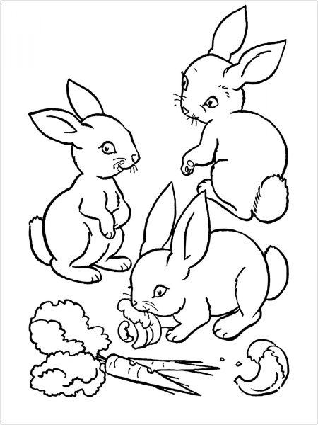 Phim hoạt hình thỏ chơi với nhau