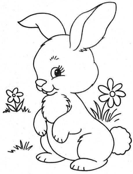 Phim hoạt hình minh họa một chú thỏ đứng cạnh một bông hoa