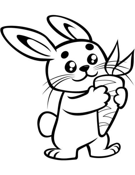Phim hoạt hình minh họa một con thỏ đứng cầm củ cà rốt
