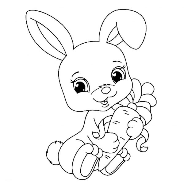 Phim hoạt hình minh họa thỏ cầm cà rốt
