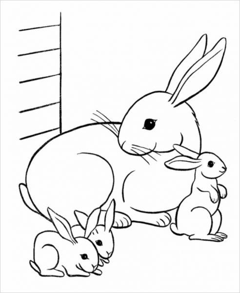 Tranh tô màu thỏ con và thỏ con