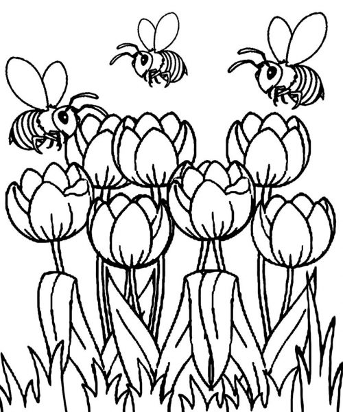 Tranh tô màu bông hoa và con ong