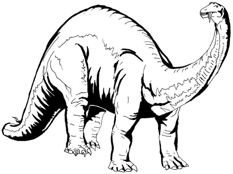 Tranh tô màu khủng long thân hình to lớn