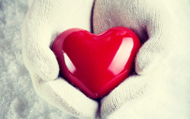 một hình ảnh của một trái tim được ôm bởi một bàn tay