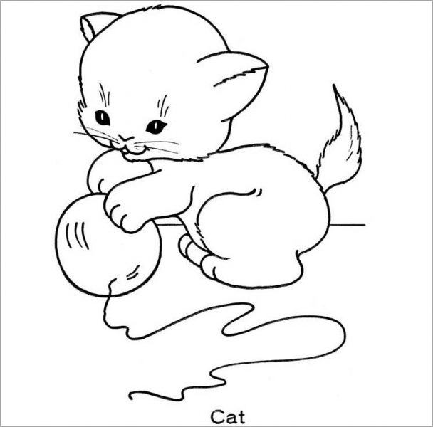 phim hoạt hình mèo nghịch lông