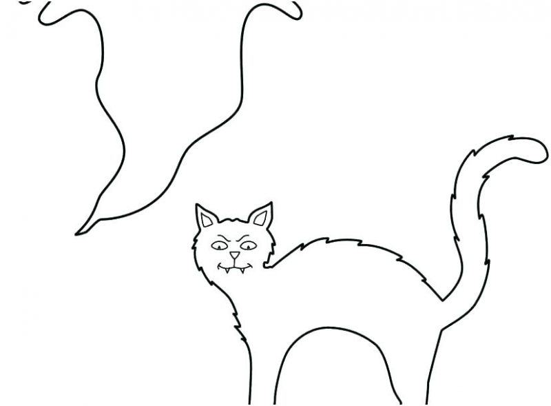 một hình ảnh hoạt hình của một con mèo cuộn tròn