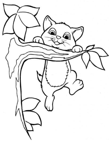 Phim hoạt hình mèo trèo cây