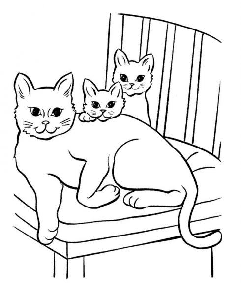 Tranh tô màu mèo con và mèo con