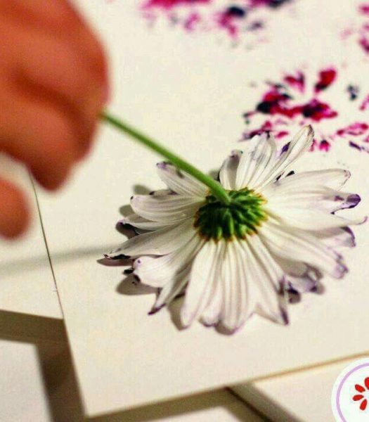 Cách vẽ hoa và hoa cúc
