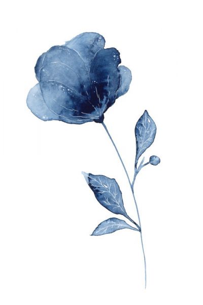 Cách vẽ hoa và hoa hồng xanh