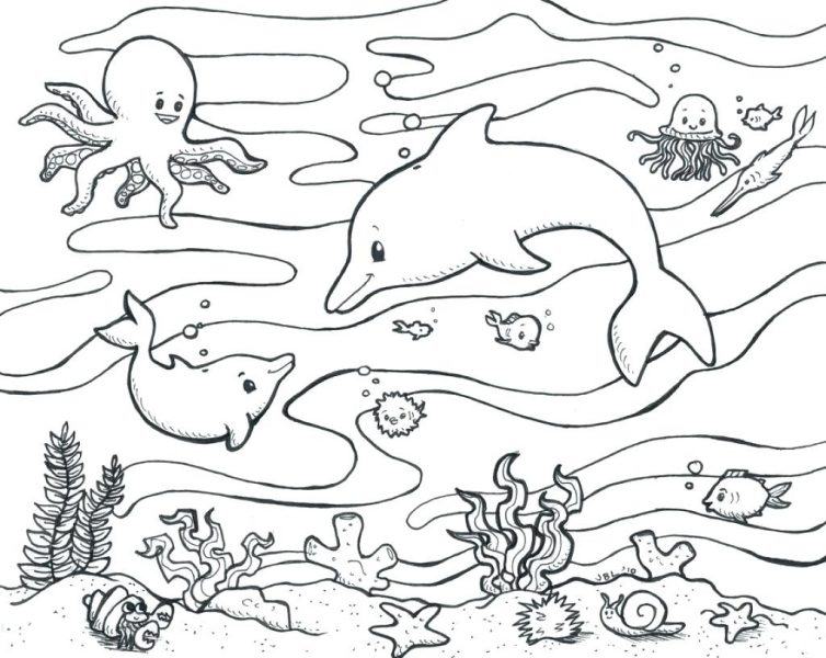 Một trang loài sinh vật biển với nhiều sinh vật