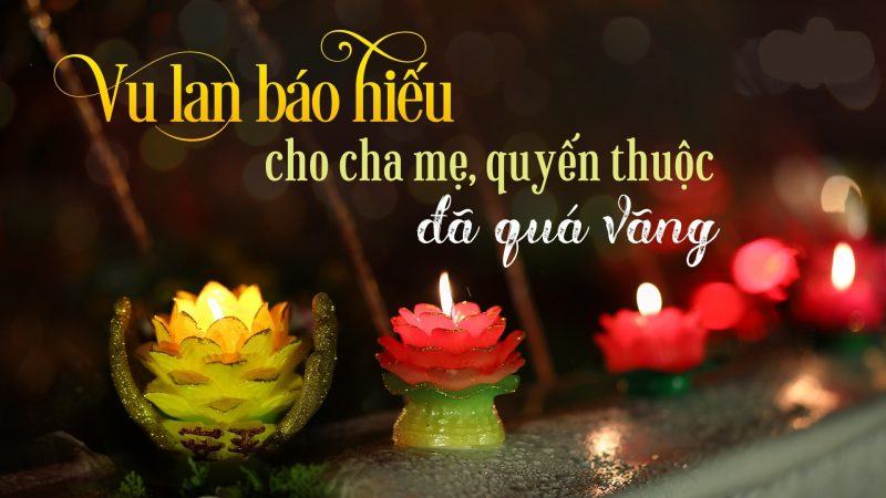 Tôi thờ bạn và ngọn đèn hoa sen