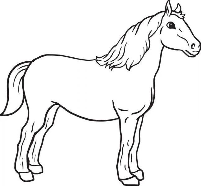 Một trang web tuyệt vời cho các giống ngựa