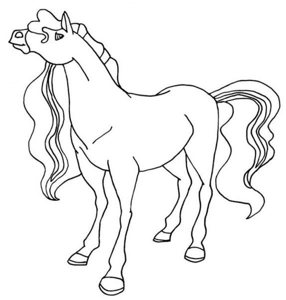 Tranh tô màu con ngựa đuôi dài