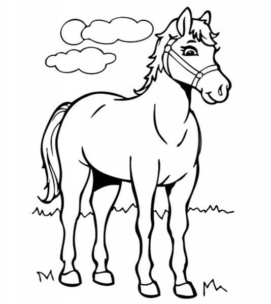 Vẽ một con ngựa đang đứng