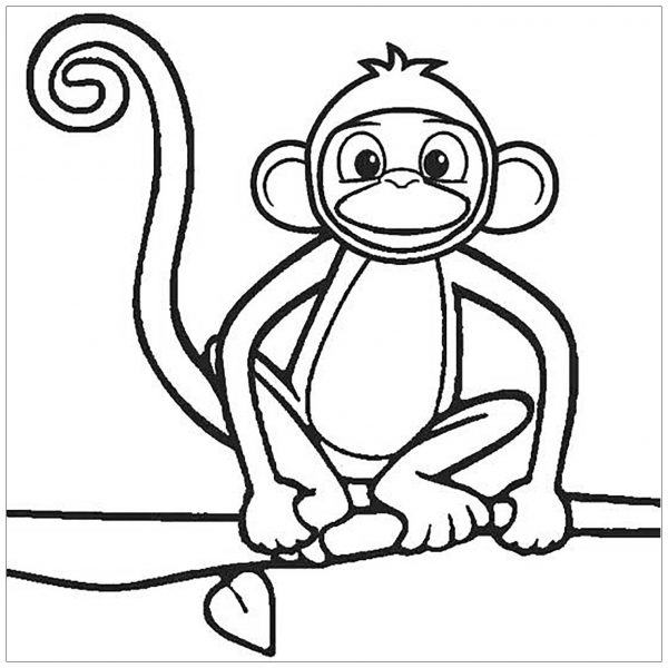 Phim hoạt hình khỉ ngồi trên cây