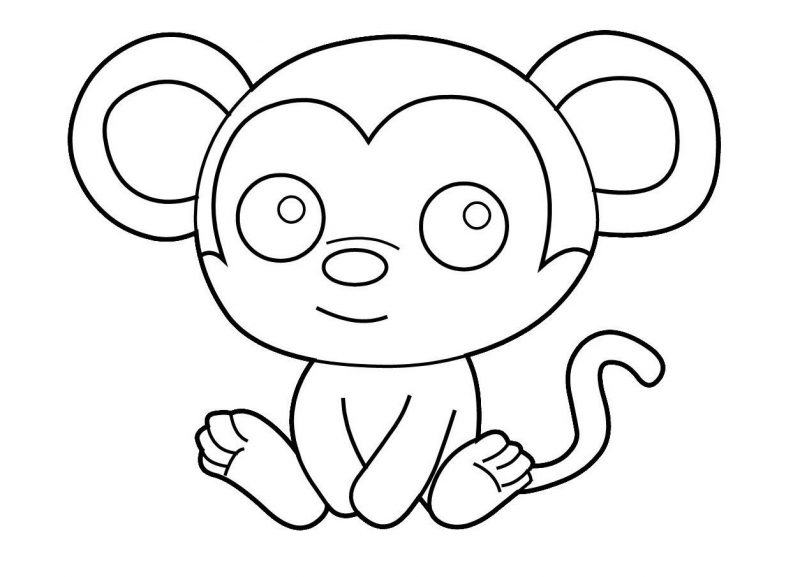 Vẽ một con khỉ đang ngồi