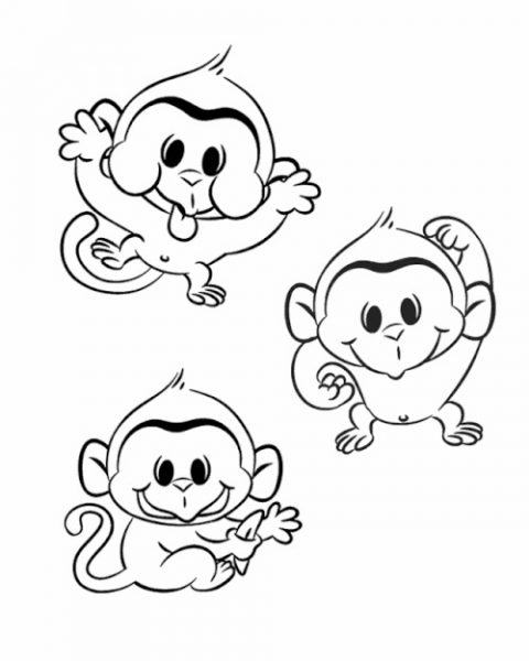 Vẽ một con khỉ với các từ khác nhau