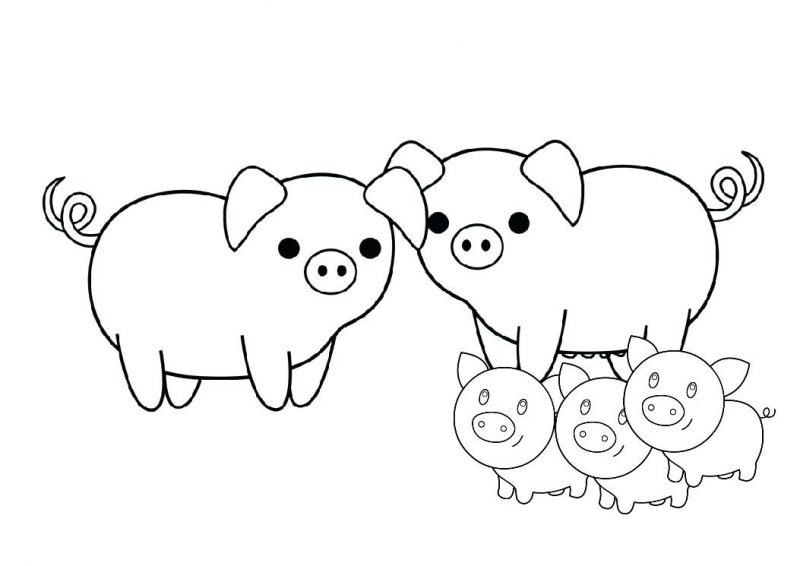 Màu lợn là một gia đình hạnh phúc