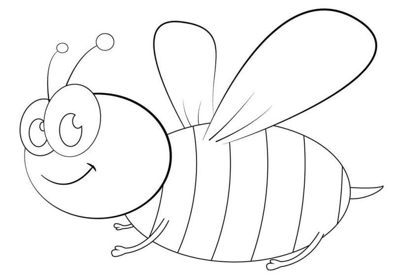 Vẽ con ong dang rộng đôi cánh