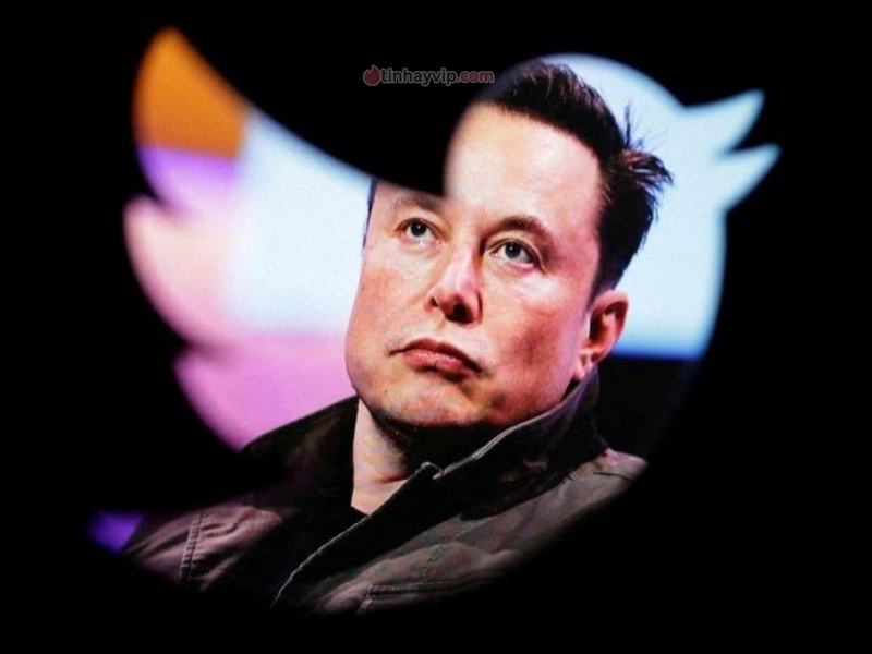 Hậu quả từ tuyên bố của Elon Musk "cuối cùng" và nhân viên Twitter
