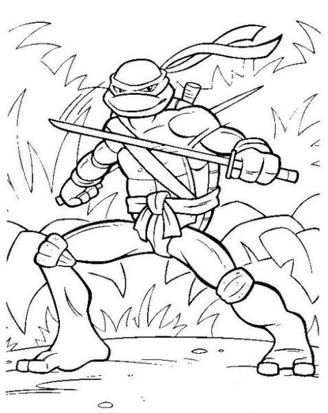 Trang tô màu Ninja rùa đột biến tuổi teen Cuộc phiêu lưu trong rừng