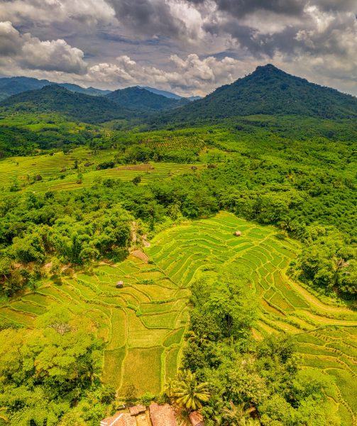 Một hình ảnh rất thư giãn của Sapa