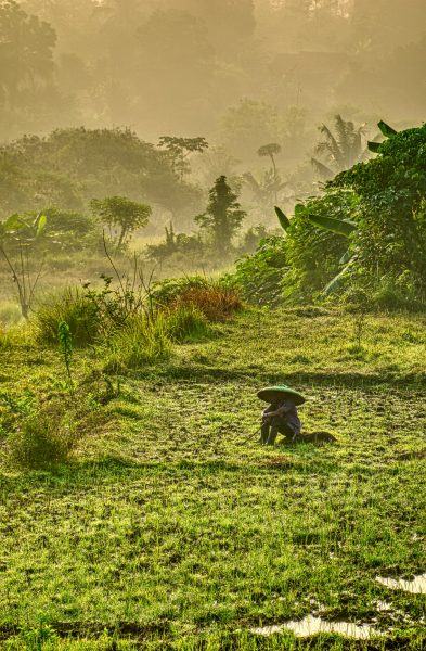 Một bức tranh Sapa rất đẹp