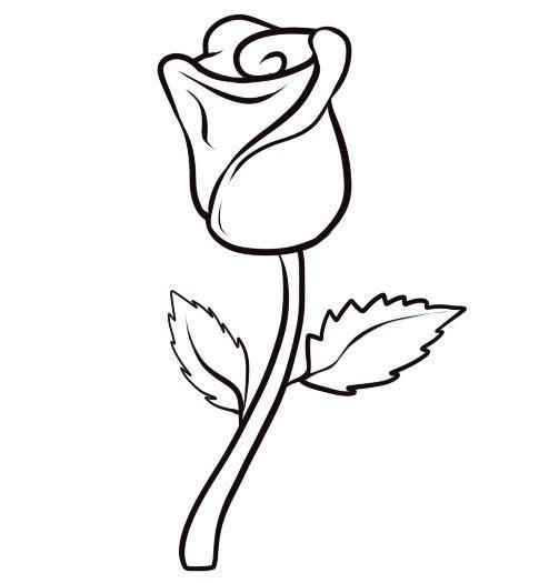 Cách Vẽ Và Tô Màu Hoa Hồng  How to draw a rose  YouTube