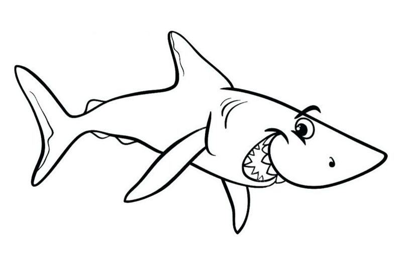 Một trang cá mập mỉm cười dễ thương