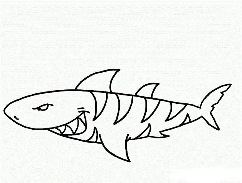 Một trang phong cách cá mập dài