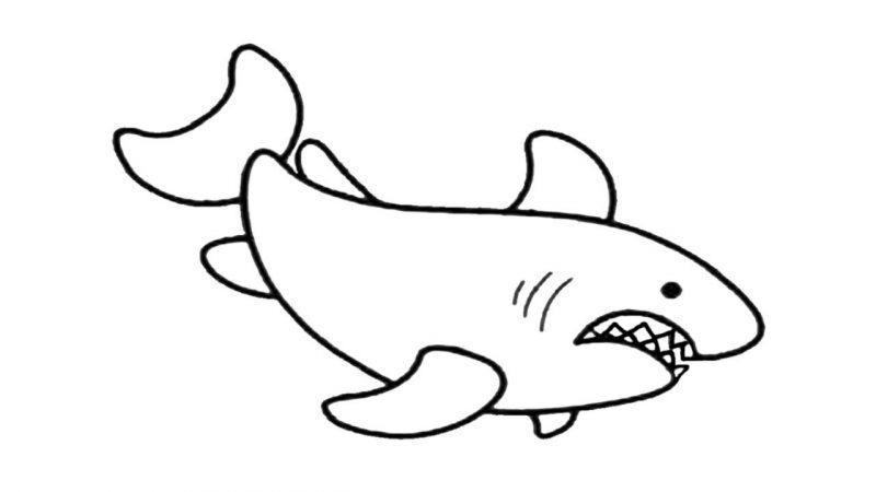Tranh tô màu cá mập nhăn nheo