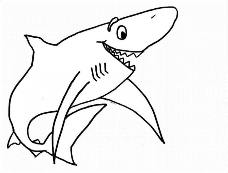 Trang màu của một con cá mập nhìn lên