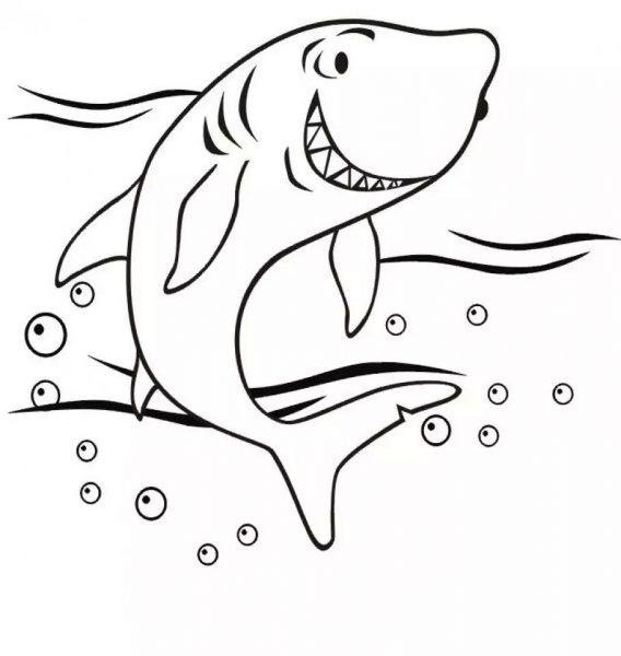 Phim hoạt hình về một con cá mập lên khỏi mặt nước