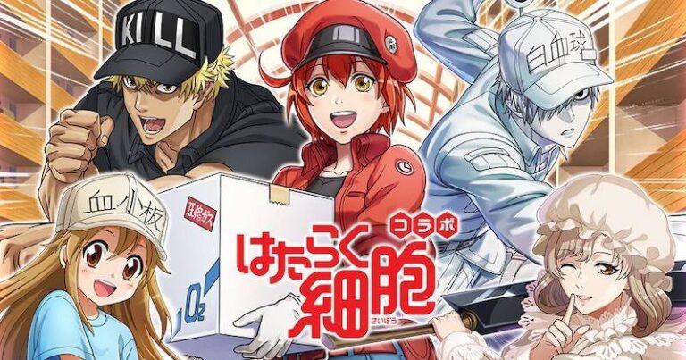 [REVIEW] Cells at Work! - Xem đi để biết sống healthy và quý trọng cơ thể hơn!