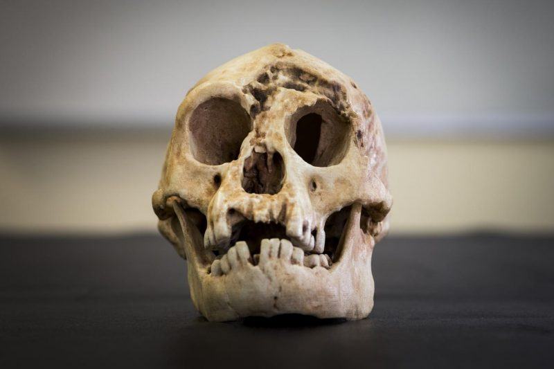 hình ảnh người cổ đại bằng xương