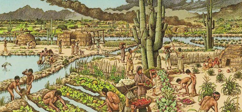 Hình ảnh người cổ đại biết trồng rau, chăn nuôi