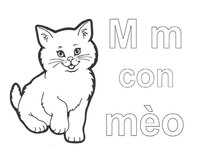 Phim hoạt hình minh họa chữ M trong một con mèo
