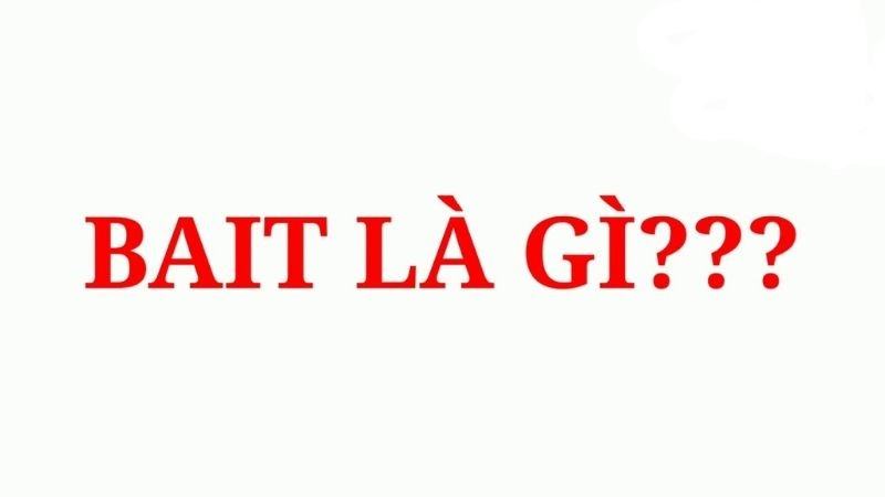 Mồi câu là gì?