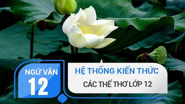 Kiến thức cơ bản các thể thơ lớp 12