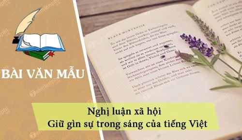 Nghị luận xã hội Giữ gìn sự trong sáng của tiếng Việt