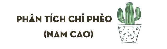 Phân tích truyện Chí Phèo của Nam Cao