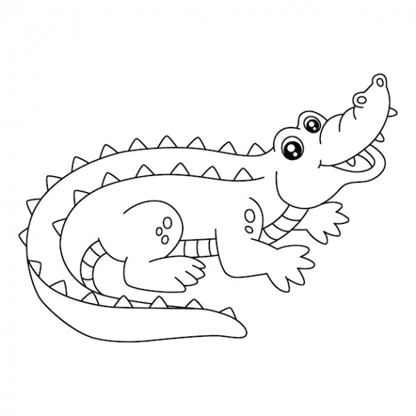 Cách vẽ con cá sấu đẹp cho bé Mẫu hình vẽ cá sấu dễ thương  Trường THPT  Kiến Thụy
