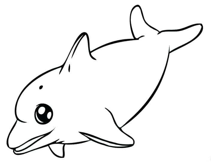 Phim hoạt hình về một chú cá heo bơi xuống