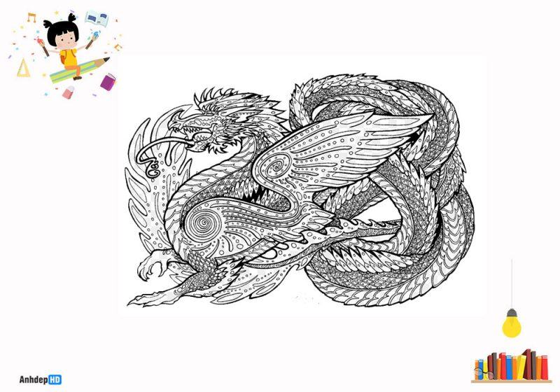 Vector Của Tay Vẽ Rồng Châu Á Hình minh họa Sẵn có  Tải xuống Hình ảnh  Ngay bây giờ  Người nhật  Người gốc đông á Nhật Bản Rồng  iStock
