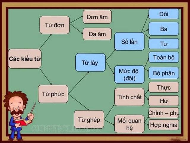 các loại từ