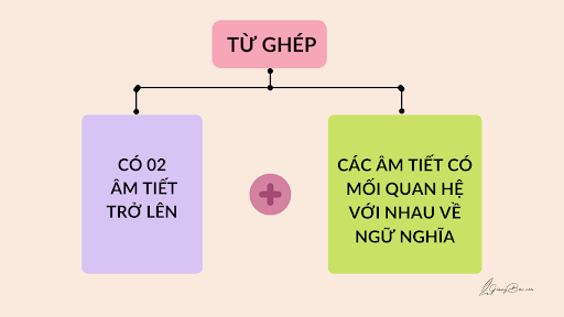 từ ghép là gì?