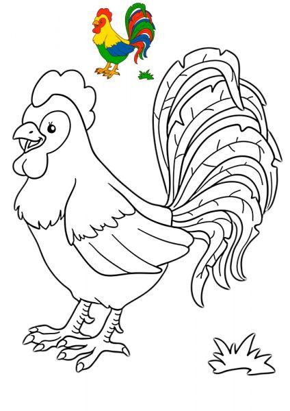 Vẽ hình con gà có đuôi đẹp